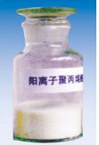 阳离子聚丙烯酰胺